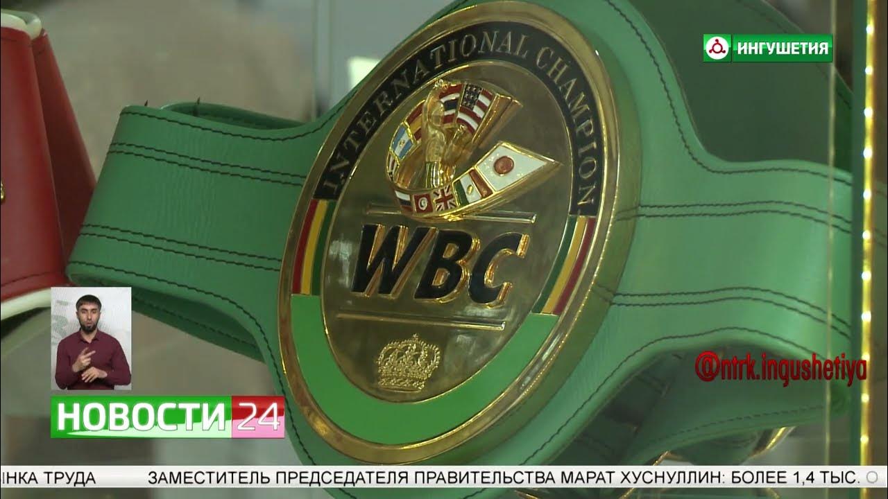 Чемпионский пояс по грепплингу
