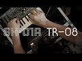 One take with roland boutique tr08  sh01a mathew jonson