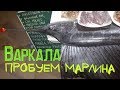 Голубой марлин. Вкуснейший деликатес. Вечерняя Варкала. Двигаем в Аллеппи.