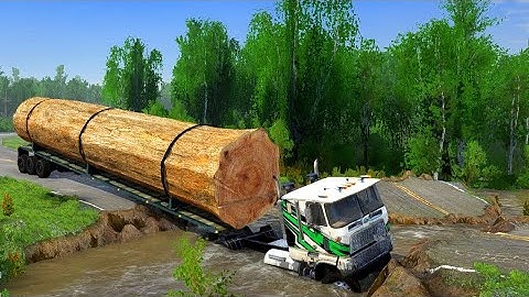 EXPOSED: Heavy Logging Trucks Facing Death on Treacherous Roads!