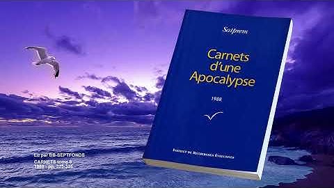 24/26 (Tome 8) Satprem. CARNETS D