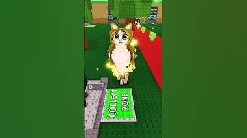 The new Meowl + Witch Brainrot Fuse in Steal A Brainrot! 😱💀 #roblox #stealabrainrot #memes