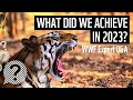 What did we achieve in 2023? | WWF Expert Q&amp;A