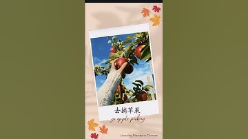 秋天的词汇 🍁 Quick Mandarin Lesson: Autumn Words in Chinese