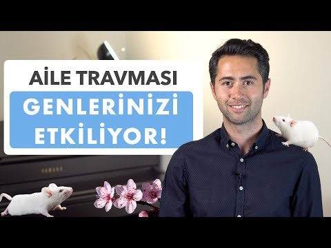 Daha Doğmadan Beyniniz Nasıl Programlanıyor? Aile Travmaları Genlerinizi Şekillendiriyor!