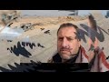 مرثية الفقيد المظلوم حسن عبدالحليم نون ابو علي ( حسن علامة )