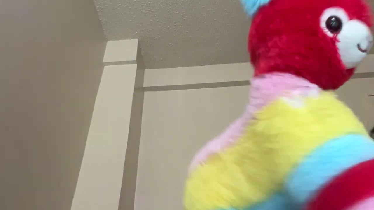 Walter bean vs doll123