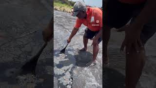 Pitch Lake, La Brea Trinidad