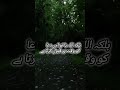 Jab dua turant qubool na ho… to kya hota hai? | Quran Reminder 🌙 #islamicshorts