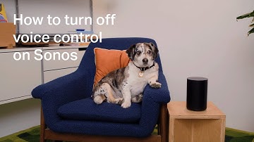 How to turn off voice control on Sonos