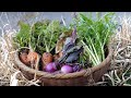 田舎暮らしvlog｜寒さに負けない幸せな食事｜初めて太巻き寿司作りました｜畑で採れた旬の野菜で作るスープ｜80代の母が作る五目おこわ｜自給生活｜＃27