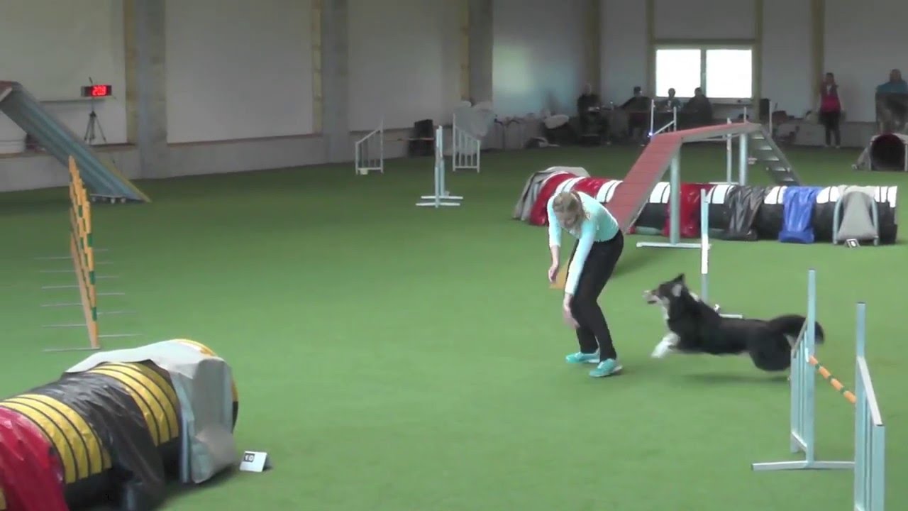 AWC Qualifying 2016 with Robin