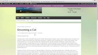 Overview - WordPress Tutorial Video 49 of 62