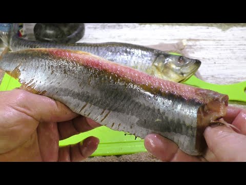 Малосольная селёдка пятиминутка, это простая и очень вкусная закуска из сельди
