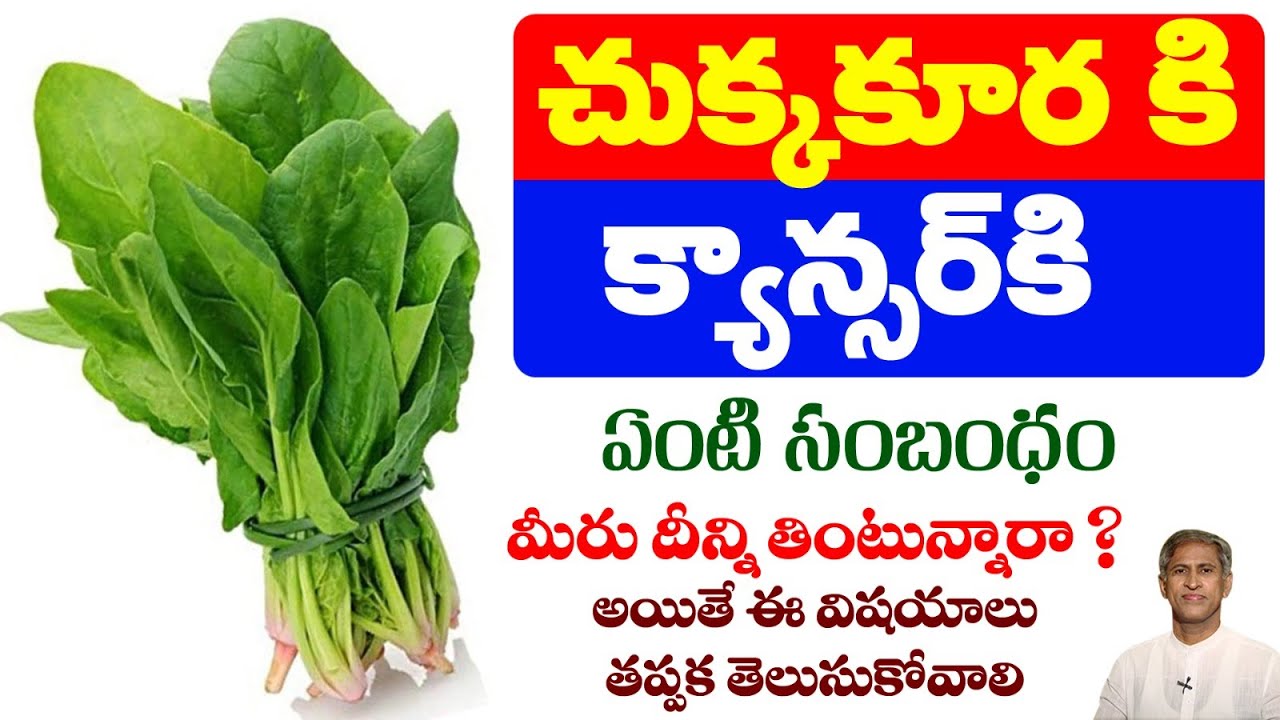 Best Leaf to Reduce Cancer | Healthy Nutrients | Chukkakura Benefits | Dr. Manthena's Health Tips