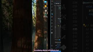 🎮 Flutter Flame - Entrada de Datos: Evento Tap por Ratón y posición #28