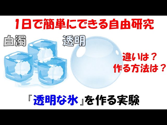 透明な氷を作る実験NEW!