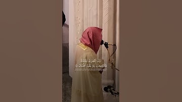 سورة إبراهيم | د. أحمد بن صابر الغامدي | مسجد قباء | تراويح ليلة ١٧ رمضان ١٤٤٦ هـ
