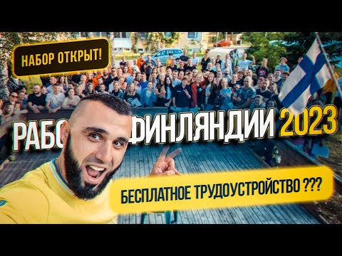 Работа в Финляндии 2023. БЕСПЛАТНОЕ ТРУДОУСТРОЙСТВО?