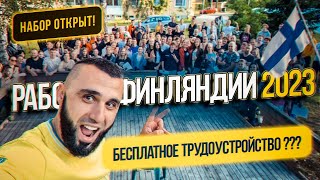 Работа в Финляндии 2023. БЕСПЛАТНОЕ ТРУДОУСТРОЙСТВО?