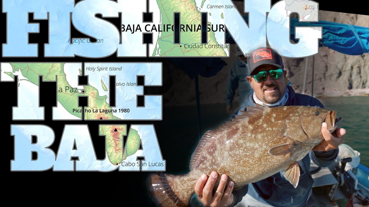 Fishing Baja California Sur.