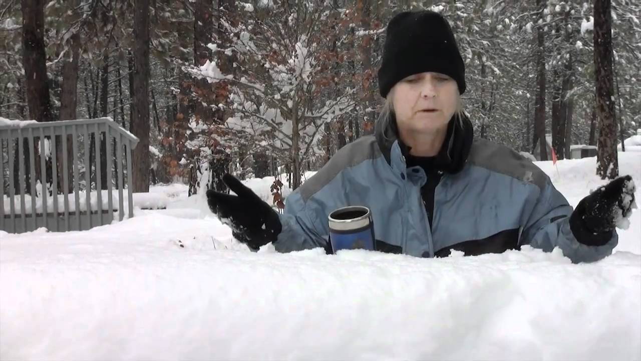 Picnic in the Storm YouTube