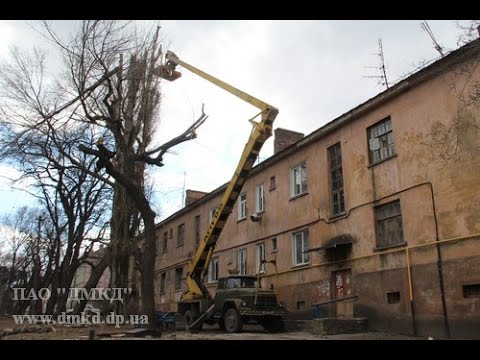 Горячая линия пао камаз