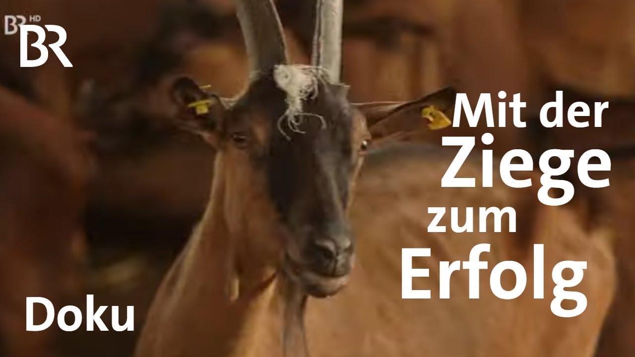 Ziegen-Bauer Hans Kellner: Von der Milch zum Käse - auf den Markt | Unter unserem Himmel | BR  Doku