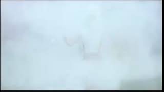 Alaska Evaporada 