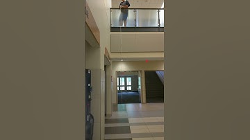 Terminal Velocity Demo