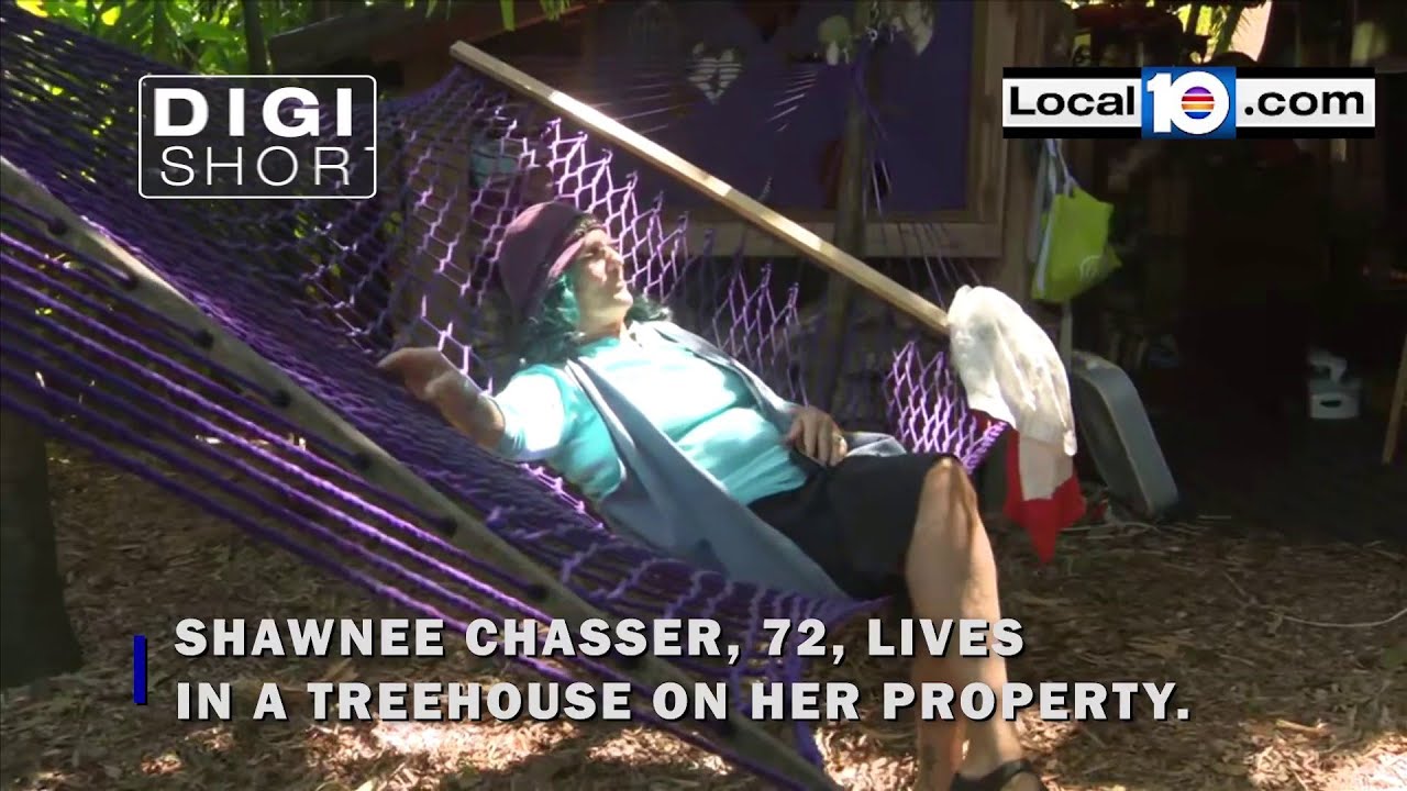 MiamiDade County woman owes 40,000 in code violations for treehouse