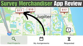 Survey Merchandiser App Review screenshot 3