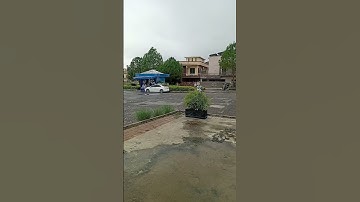 Quran pak #shortvideo #egzonibrahimi #surahkawthar #سورة_الإخلاص #ikhlas