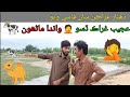 Dhanaar girakan saa faasi wayo ajeeb insan aahin wanda mahnro  funny gamoo sindhi