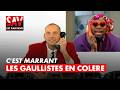Un Gaulliste en colère, c'est comme un Toucan 😂 - Le S.A.V. des émissions - 2009 - CANAL+