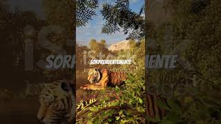 El rey invisible de la selva parte 2 #tigredebengala #documental #mexico #mundoanimal #mundo