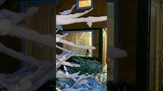 ОТАПЛИВАЕМ ДОМИК ПЕЧКОЙ «БУРЖУЙКОЙ»#печь#дом#зима #бытовка#деревня#минидом#стройка#времянка#