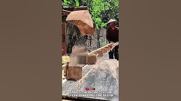 Precision Cutting Tool: High-Speed Rotary Saw for Precise Bamboo Stalk Splitting #ToolHolder