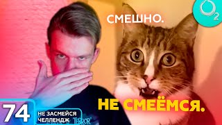 #НеобычныйСмех: Не засмейся челлендж | Самое сложное видео в моей жизни-2 (Эпизод №74)