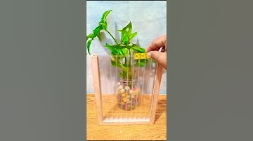 No.56 PLAYING TETRIS BLOCK PUZZLE GAMES #viral #satisfaying #tetris #trending #shorts#asmr