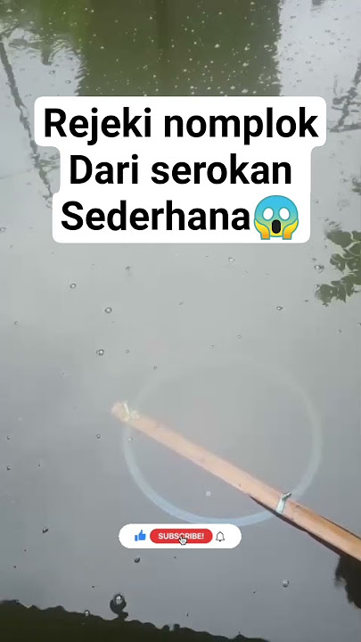 Rejeki nomplok dari Alat serok Sederhana😱‼️ #mancing #ikan #fishing #mancingmania #fish