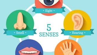 learn Five senses 👃👂🤚👀👄with fun//entertaining video 📸 for kids #more videos Subscribe my channel 🌅