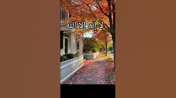 الآية -٢٨- من سورة (لقمان) القارئ/أبوعبدالله #القرآن_الكريم #راحة_نفسية #اسلاميات #تيك_توك
