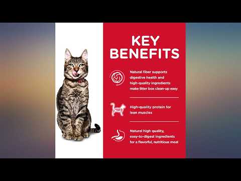 Hill's Science Diet Dry Cat Food, Adult 7 For Senior Cats, Indoor, Chicken Recipe Review