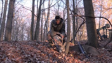 Nicholas Perrone 11 2016