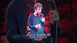 hürmüz körfezi #iran #cat #kahramanmaraş #şanlıurfa #kitten #nature #love #dayanışma #cute #deccal