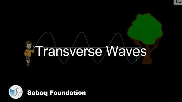 Transverse Waves, General Science Lecture | Sabaq.pk