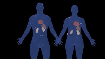 Introduction to the HRA-CCF