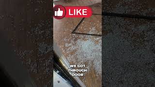 Broken Door and Glass: Inspecting the Damage!