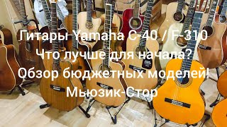 Гитары Yamaha C-40/ F-310! Как выбрать и какую купить гитару? Обзор от Мьюзик-Стор | musik-store.ru